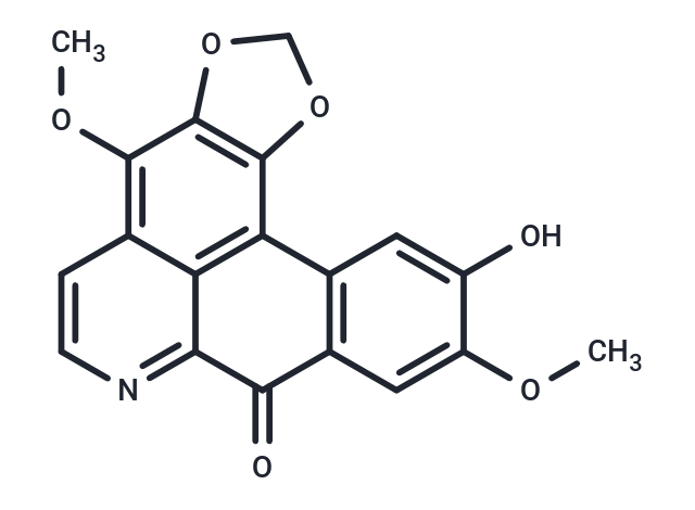 Filiformine