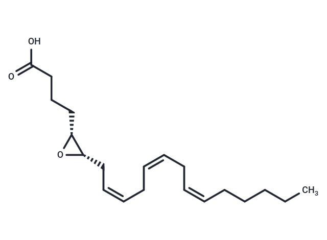 5R(6S)-EET