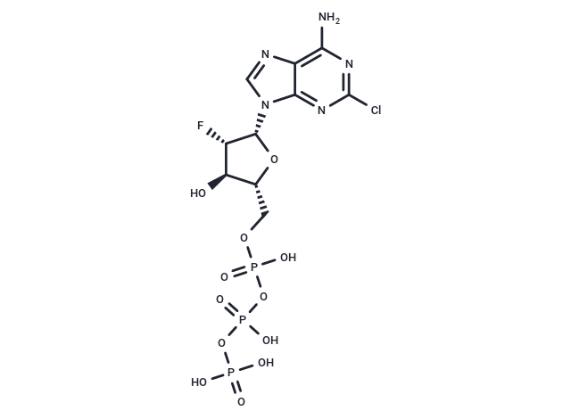 Clofarabine-5'-triphosphate