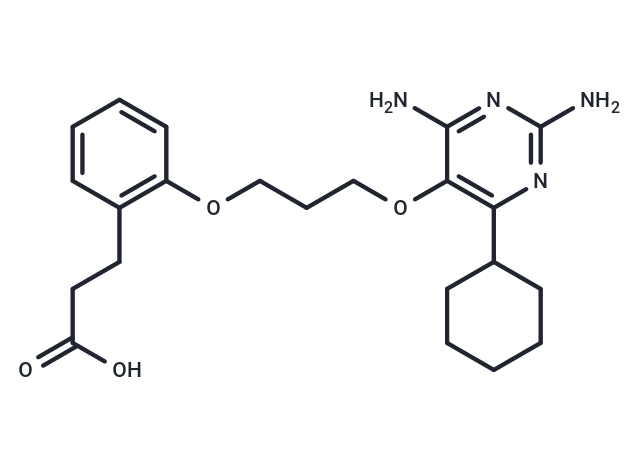 DHFR-IN-22
