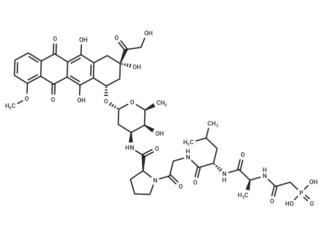 PhAc-ALGP-Dox