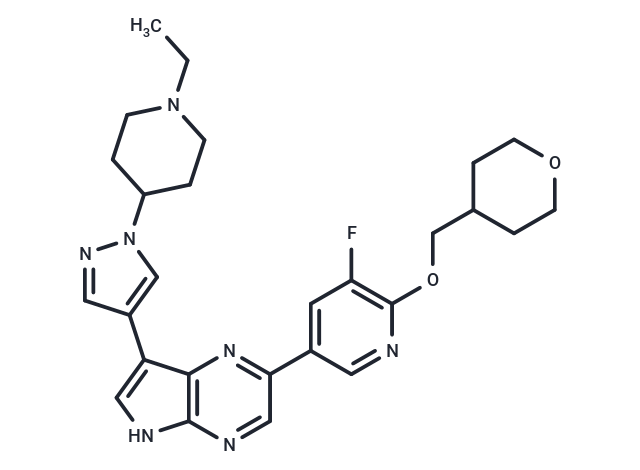 DD203