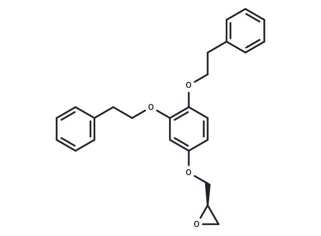p62-ZZ ligand 1