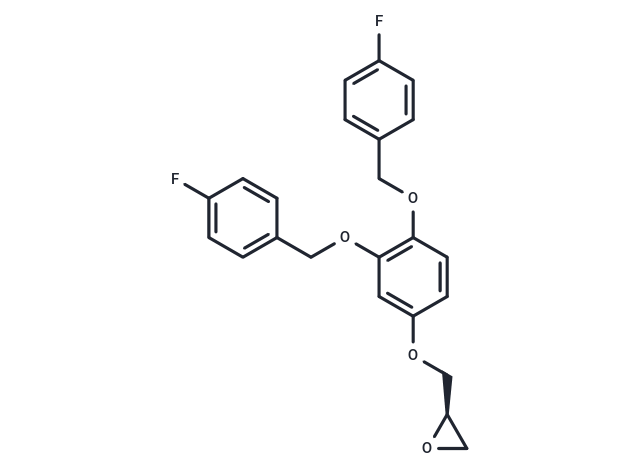 YT 6-2 analog-1