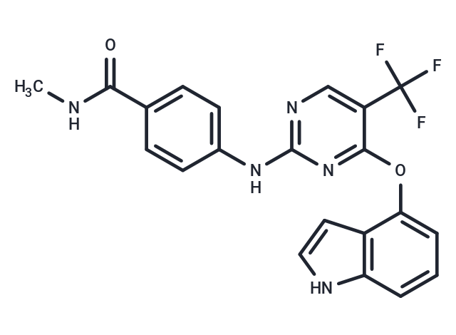 FAK-IN-22