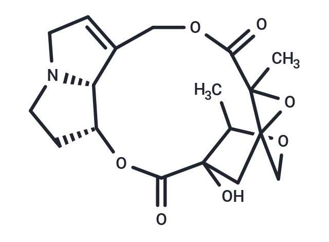 Adonifoline