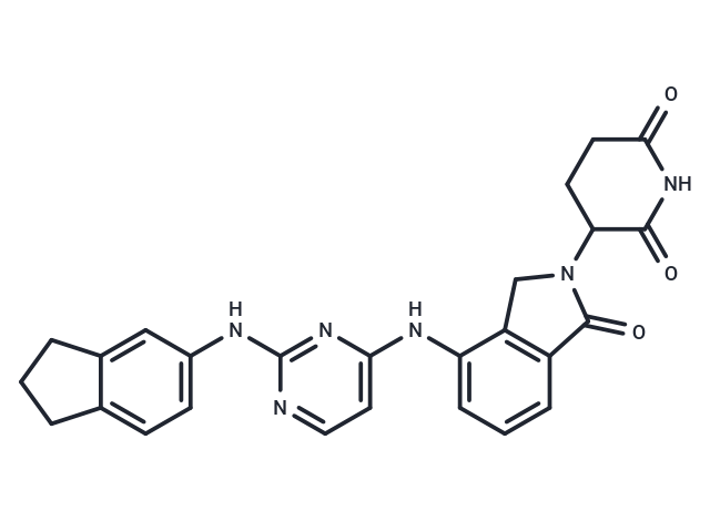 ZXH-1-161