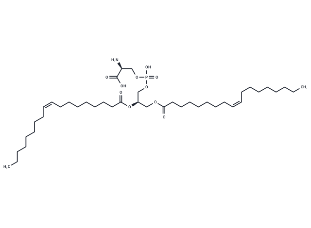 Dioleoyl phosphatidylserine