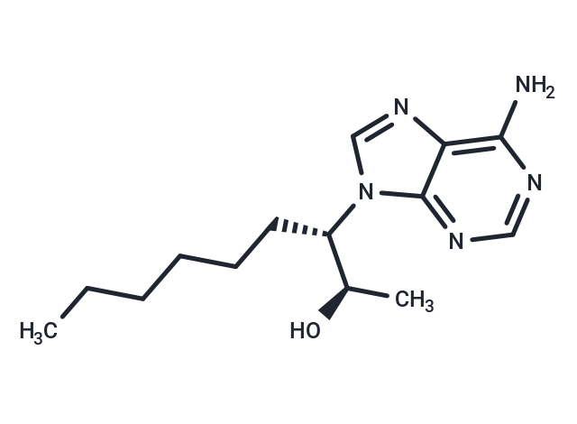EHNA
