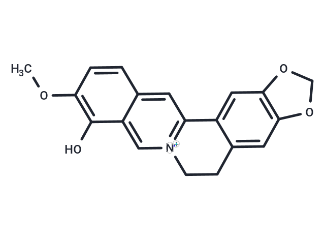 Berberrubine