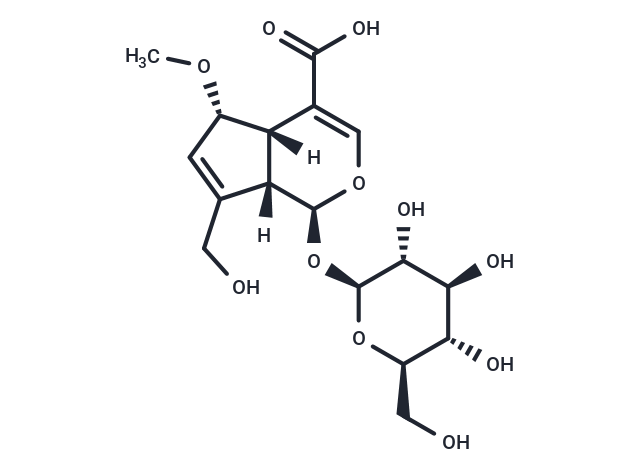 6α-Methoxygeniposidic acid