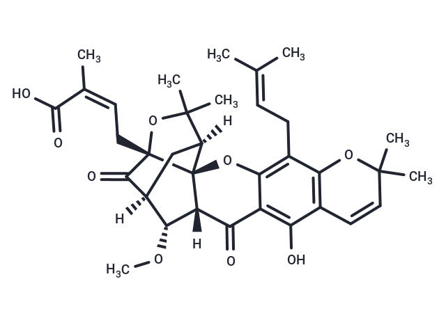 Isomoreollic acid