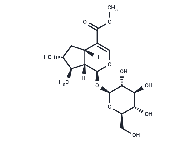 7-epi-loganin