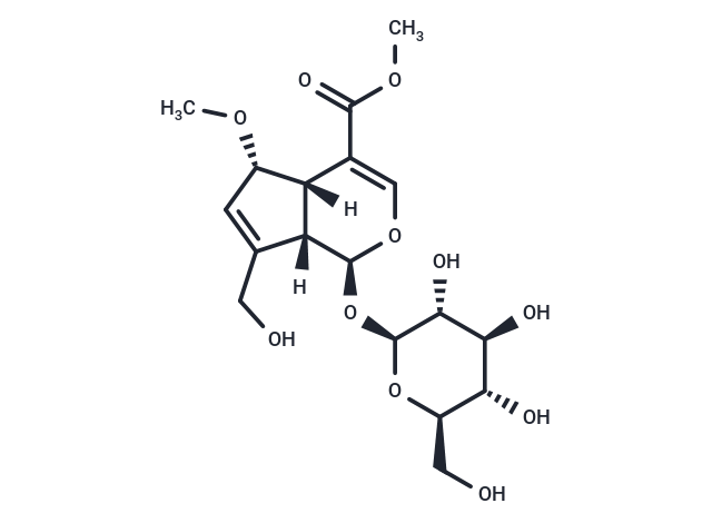 6α-Methoxygeniposide