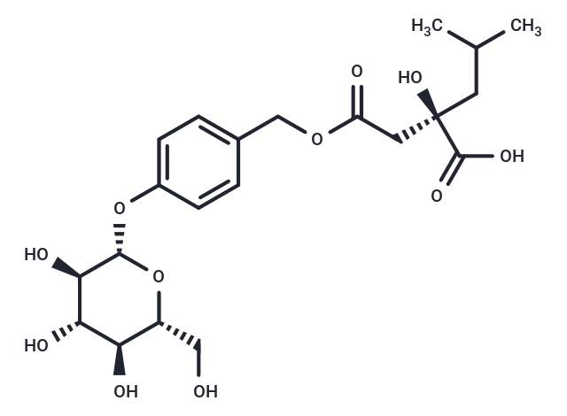GymnosideII