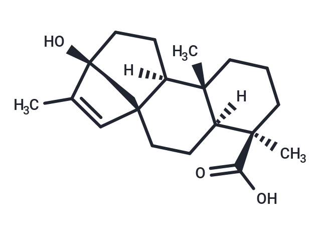 Steviol-15-ene