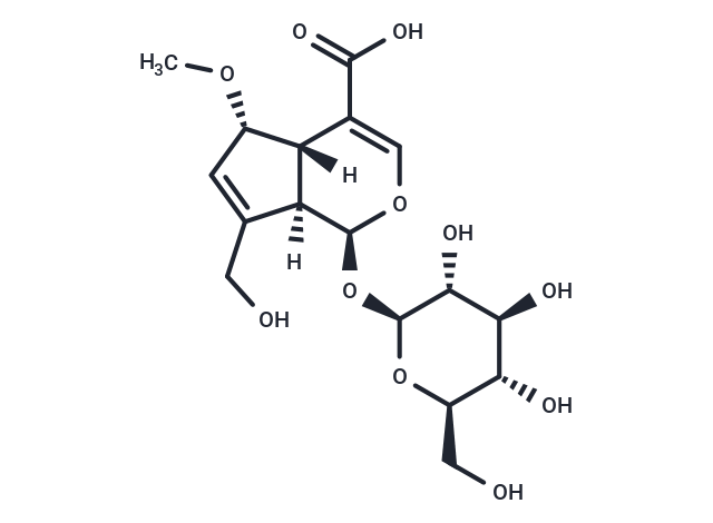 9-epi-6-Methoxygeniposidic acid