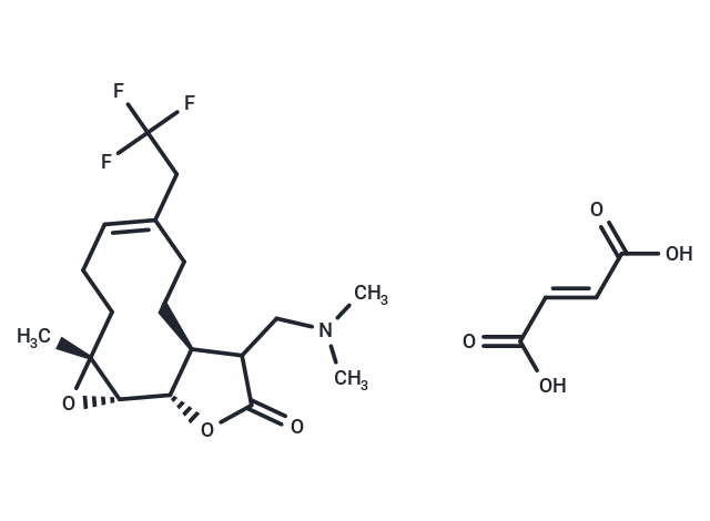 STAT3-IN-41
