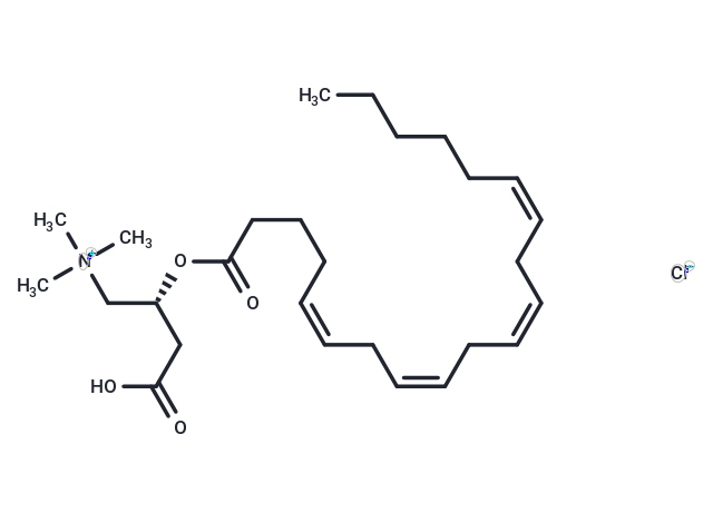 Arachidonoyl-L-carnitine (chloride)