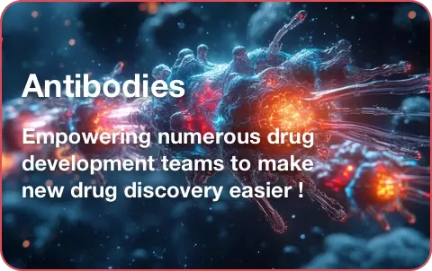 Antibodies