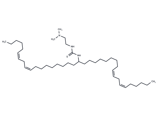 DMT7