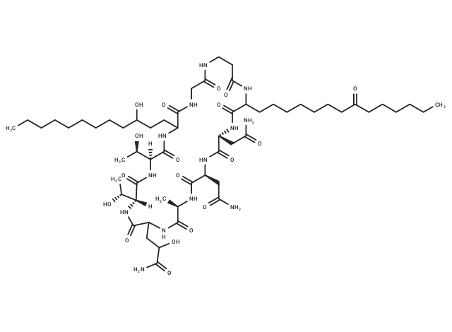 Arborcandin D