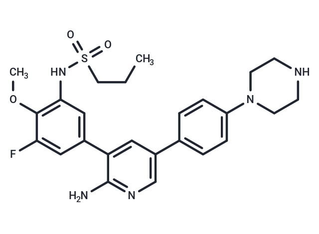 CSLP37