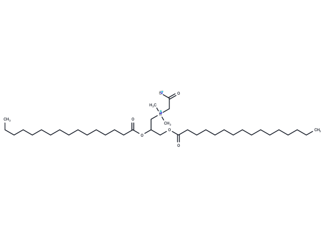 DPCB