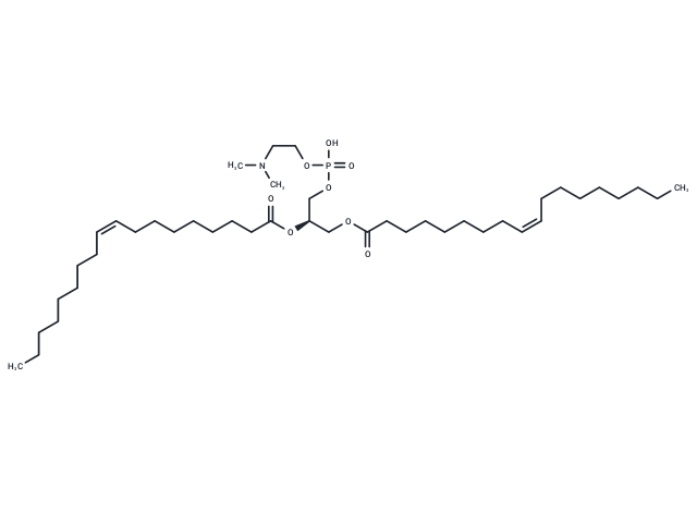 18:1 Dimethyl PE