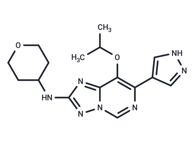 CDK2-IN-40