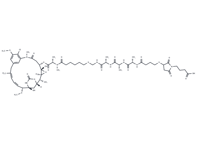 DM21-L-G