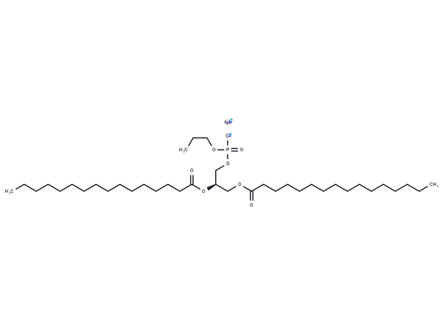16:0 Phosphatidylpropanol
