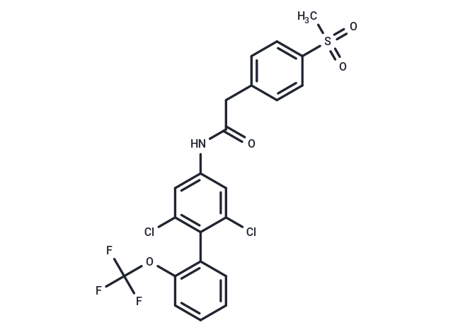 RORγt inhibitor 4