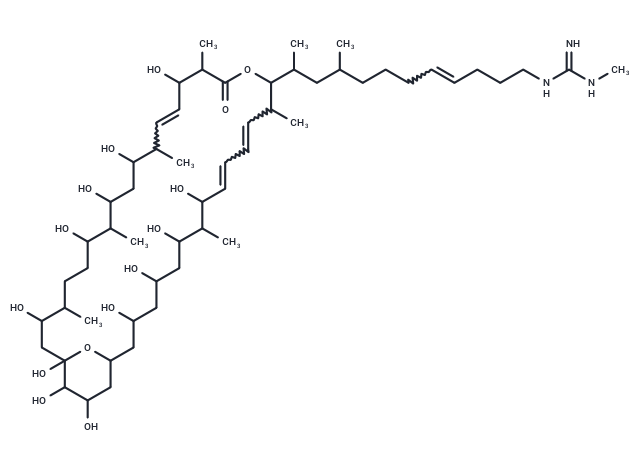 Amycin B