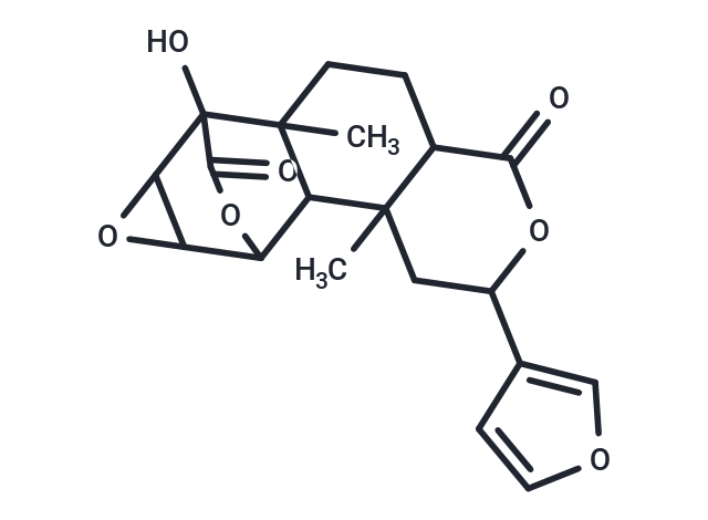 Palmarin