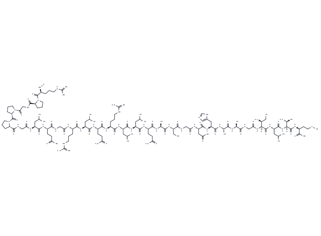 Orexin B, canine