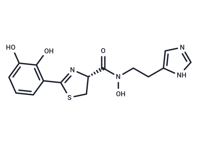 Anguibactin