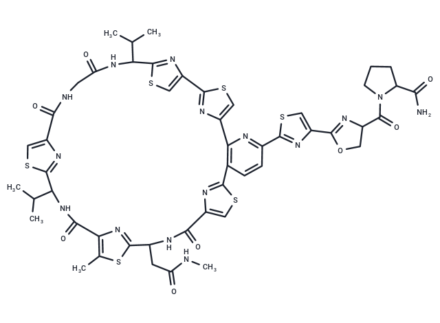 Amythiamicin A