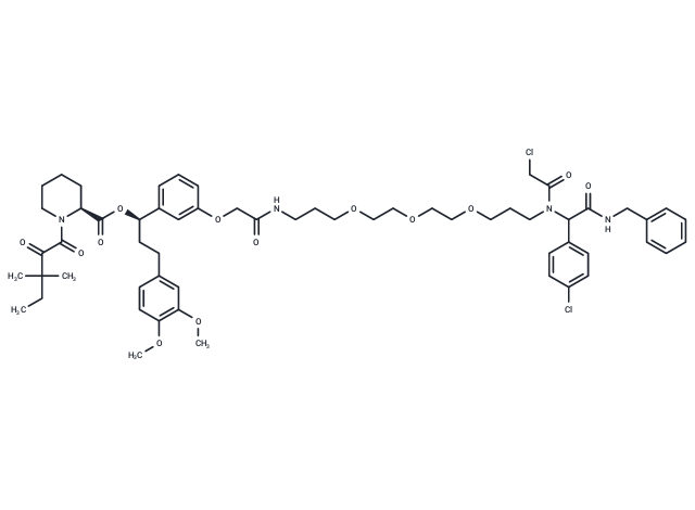 10-SLF