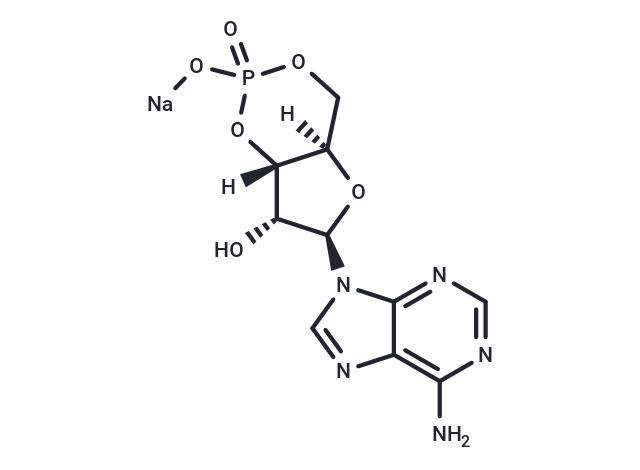 Cyclic AMP sodium