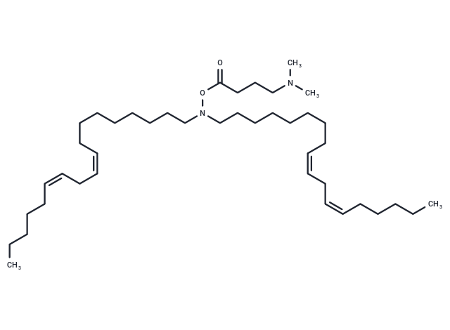 Lipid 6