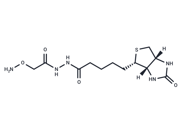 ARP