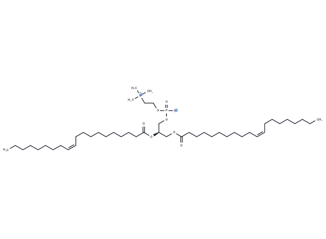 1,2-Dieicosenoyl-sn-glycero-3-phosphocholine