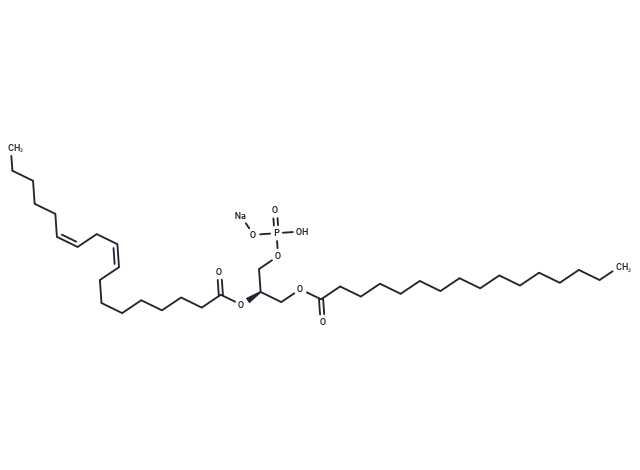 16:0-18:2 PA sodium