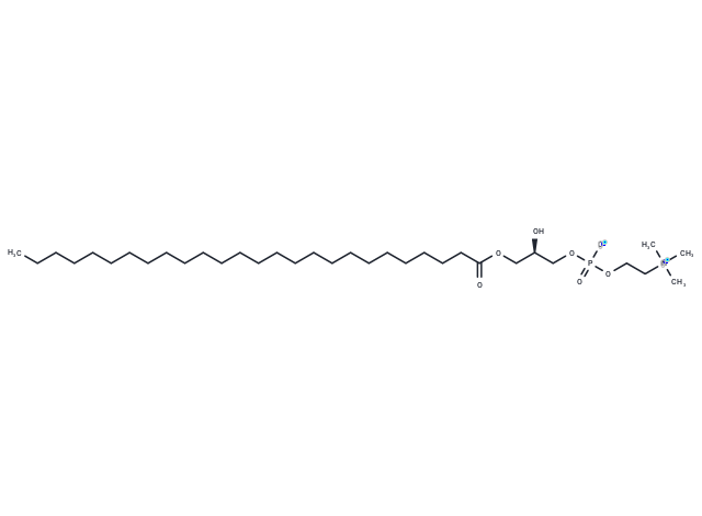 1-Hexacosanoyl-sn-glycero-3-phosphocholine