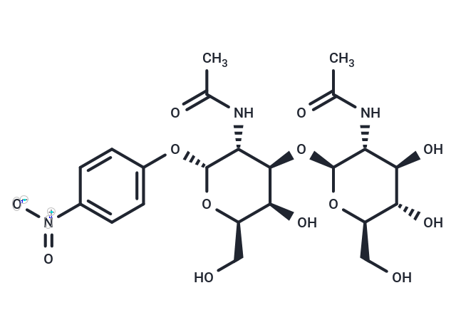 GlcNAcβ(1-3)GalNAc-α-pNP