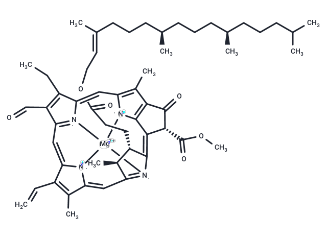 Chlorophyll b