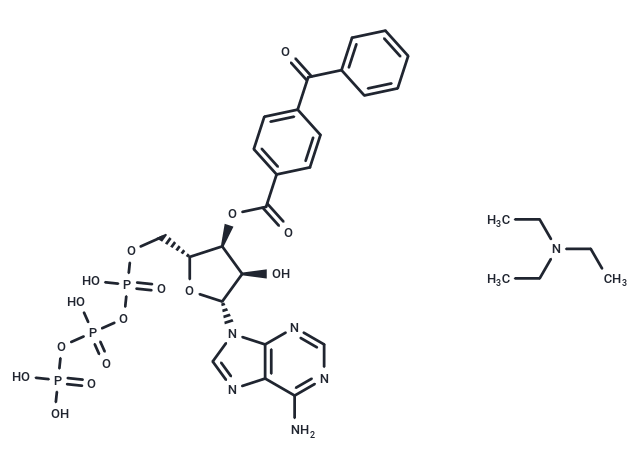 BzATP triethylammonium salt