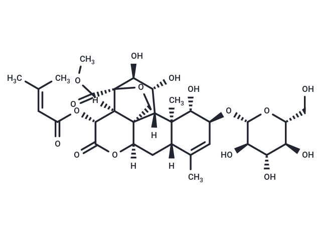 Yadanzioside E