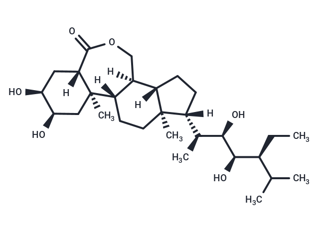28-high brassinolide
